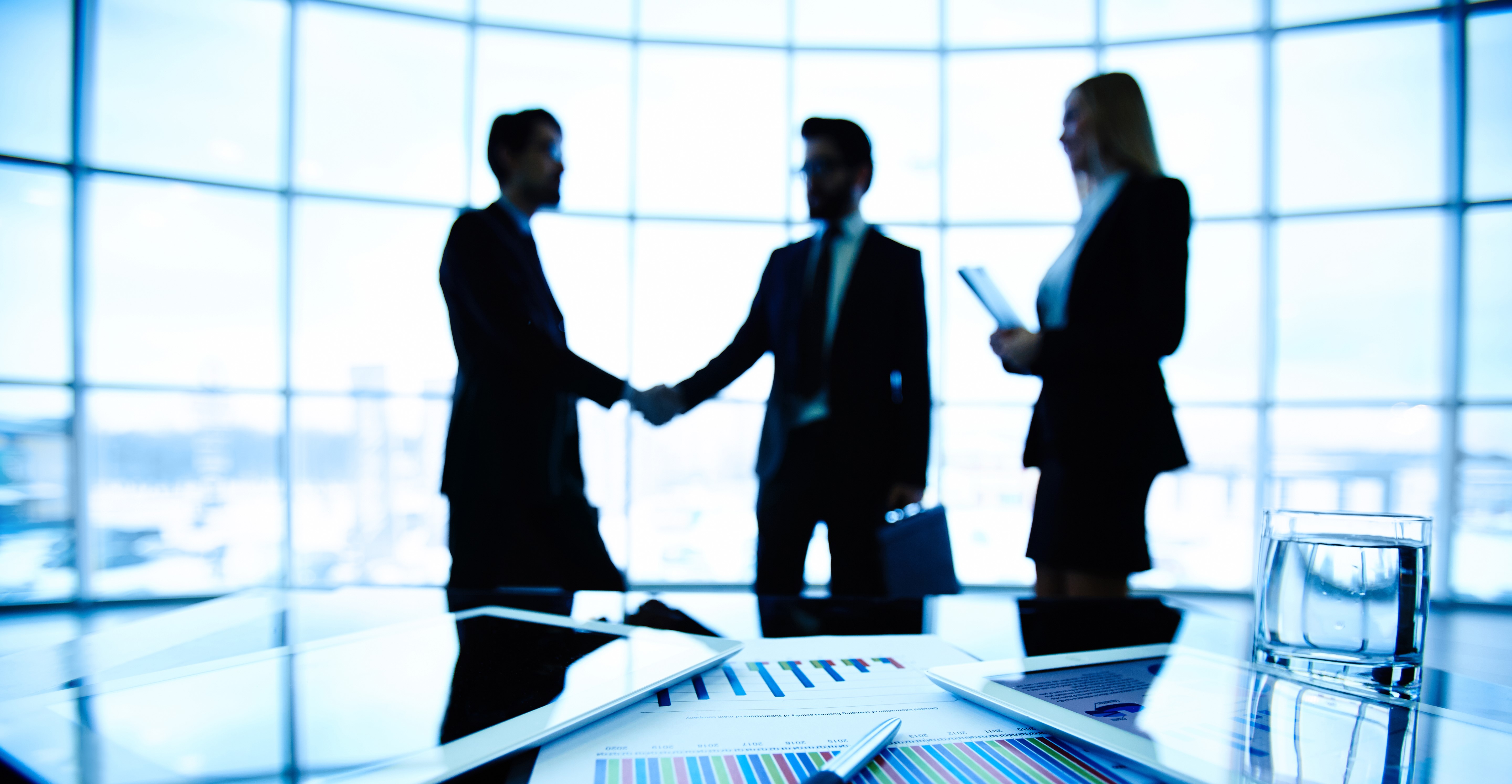 Digital Skills for Business