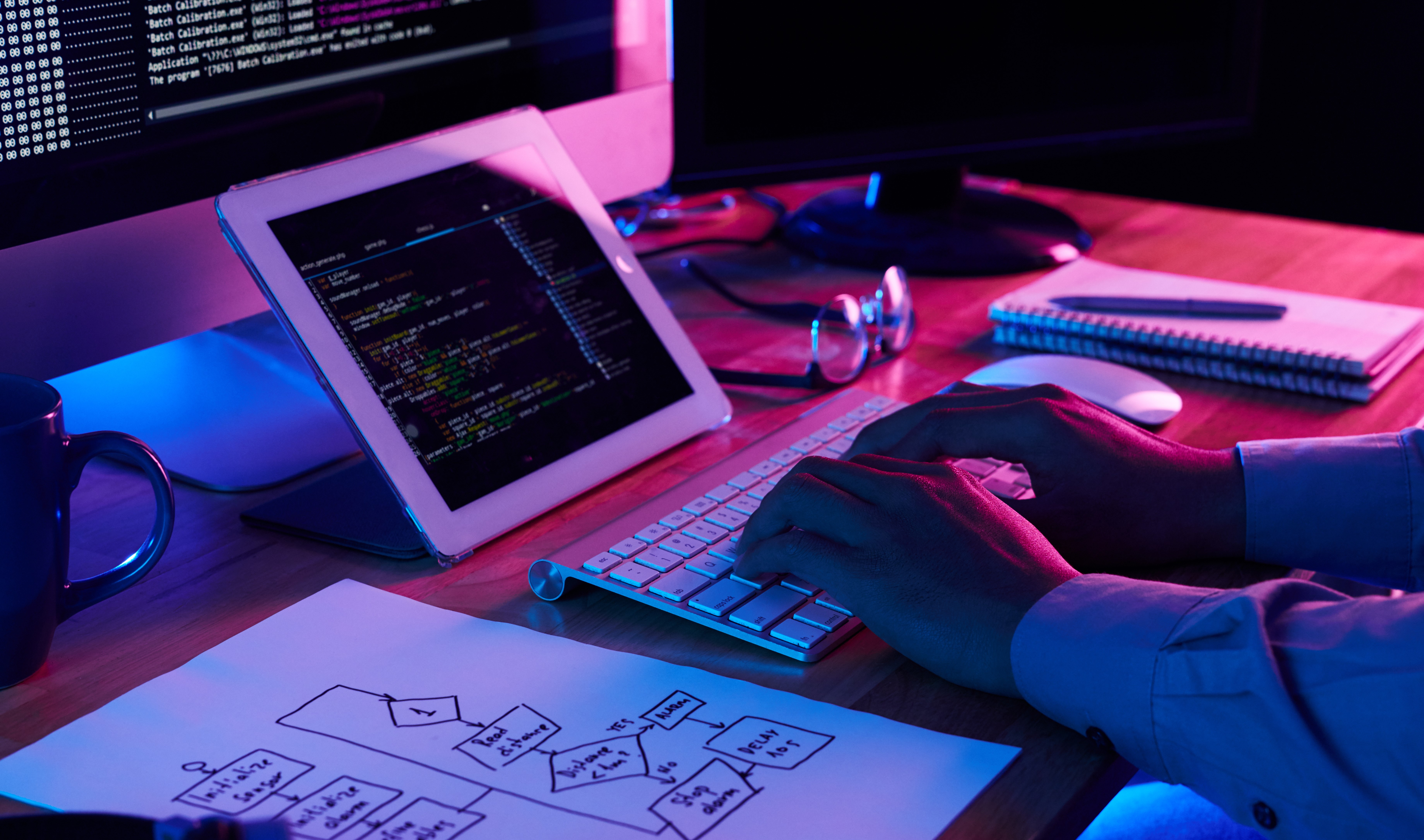 Software Developer